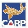 Scarborough Carp, profile picture