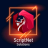 ScriptNet Solutions, profile picture