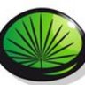 Serenoa Project, profile picture