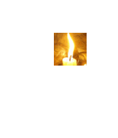 Serginho Fernando, profile picture