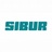 Sibur Holding, profile picture