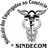 Sindecom, profile picture
