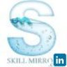 Skill Mirror, profile picture