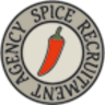 Spice IT Recruitment, profile picture