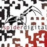 SpiderDigital, profile picture