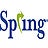 Spring Consulting Group, profile picture