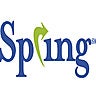 Spring Consulting Group, profile picture