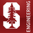Stanford School of Engineering, profile picture