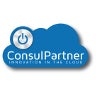 ConsulPartner iSrl, profile picture