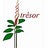Stichting Trésor, profile picture
