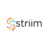 Striim, profile picture