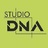 Studio DNA - Office Interior Design Company, profile picture
