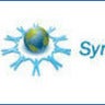 Synergy Debt Group, profile picture