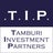 Tamburi Investment Partners, profile picture
