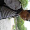 Tan Van Le