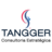 Tangger Consultoria Estratégica, profile picture