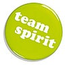 Teamspirit, profile picture