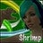 Teh Shrimp, profile picture