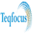 Teqfocus Consulting LLC, profile picture