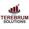 Terebrum Solutions, profile picture