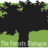 The Forests Dialogue