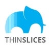 ThinSlices, profile picture