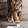 Tiger-EvenVendas, profile picture