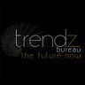 Trendz Bureau , profile picture