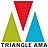 Triangle American Marketing Association, profile picture