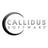 Callidus Software, profile picture