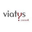 VIATYS conseil, profile picture