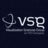 VSG - Visualization Sciences Group, profile picture