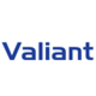 Valiant Global Solutions, profile picture