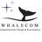 WHALECOM, profile picture