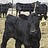 Wisconsin Beef Information Center, profile picture