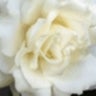 SlideShare profile picture for @wrap