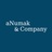 aNumak & Company, profile picture