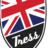 TRESS School of English, profile picture