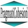 Pragmatic Cohesion Consulting, LLC, profile picture
