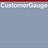 CustomerGauge, profile picture