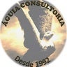 Águia Consultoria, profile picture