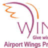 Airport Wings, profile picture