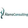 ÁlamoConsulting, profile picture