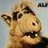Alf Peludo, profile picture