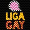 A Liga Gay, profile picture