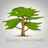 Allied Consultants, profile picture