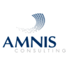 AMNIS Consulting, profile picture