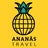 Ananas Travel, profile picture