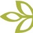 Ancestry.com, profile picture
