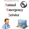 Animal Emergency Service, profile picture